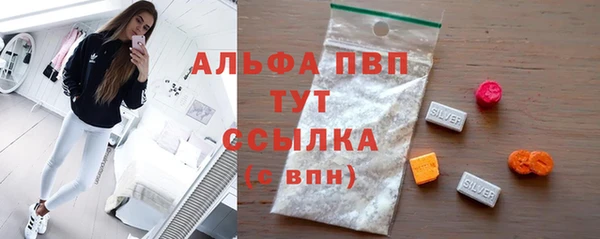 стафф Арсеньев