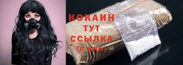 стафф Арсеньев
