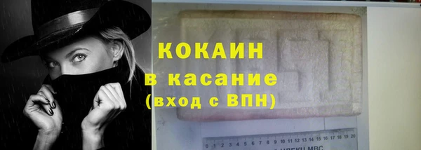 стафф Арсеньев