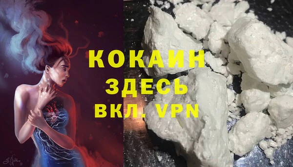 стафф Арсеньев