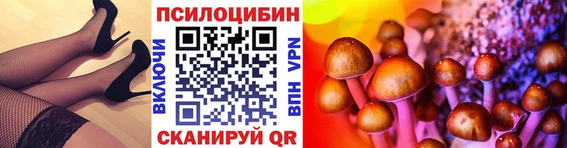 Псилоцибиновые грибы Cubensis  кракен сайт  даркнет официальный сайт  купить наркотики сайты  Тавда 